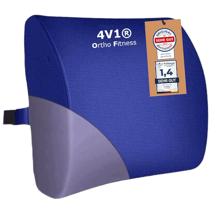 4V1 BKR9 Orthopedic Lumbar Support Pillow Standard Blue