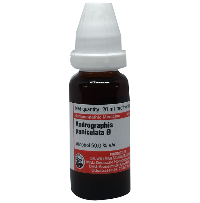 Dr Willmar Schwabe Germany Angelica Archangelica (Angelica) Mother Tincture Q