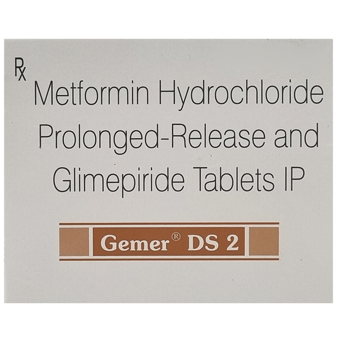 Gemer DS 2 Tablet PR