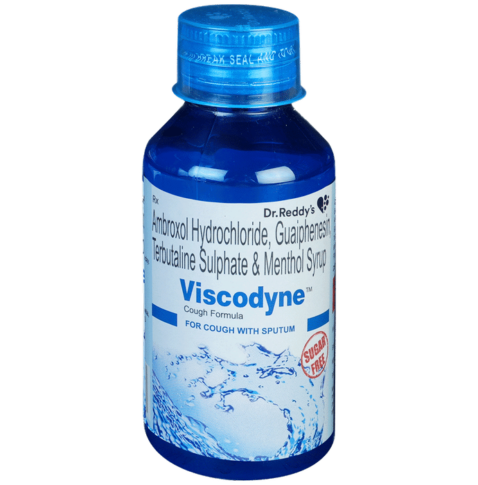 Viscodyne Syrup Sugar Free